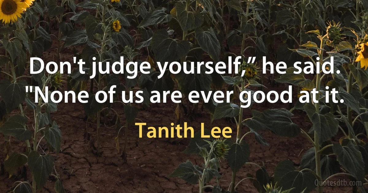 Don't judge yourself,” he said. "None of us are ever good at it. (Tanith Lee)