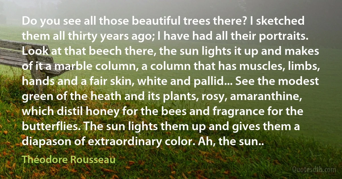 Do you see all those beautiful trees there? I sketched them all thirty years ago; I have had all their portraits. Look at that beech there, the sun lights it up and makes of it a marble column, a column that has muscles, limbs, hands and a fair skin, white and pallid... See the modest green of the heath and its plants, rosy, amaranthine, which distil honey for the bees and fragrance for the butterflies. The sun lights them up and gives them a diapason of extraordinary color. Ah, the sun.. (Théodore Rousseau)