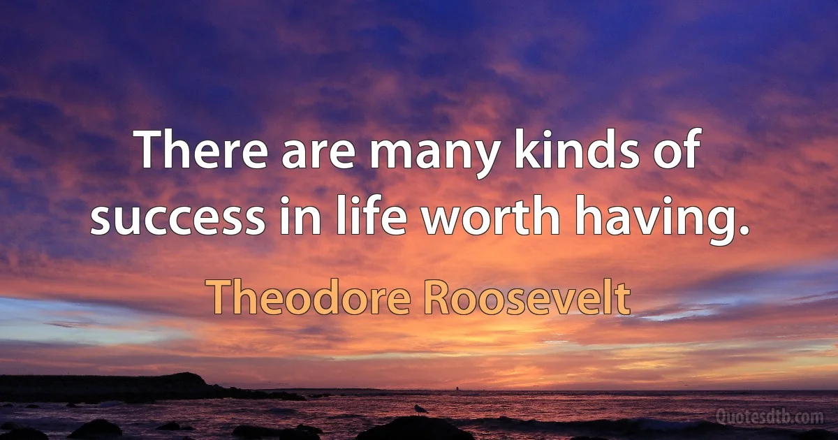 There are many kinds of success in life worth having. (Theodore Roosevelt)