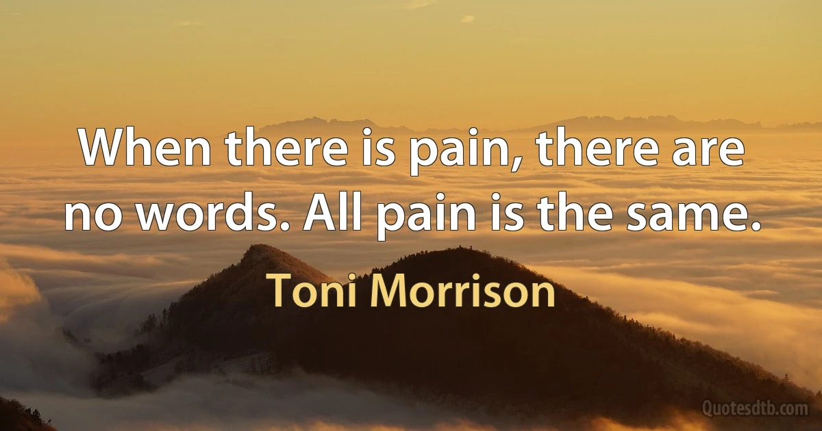 When there is pain, there are no words. All pain is the same. (Toni Morrison)