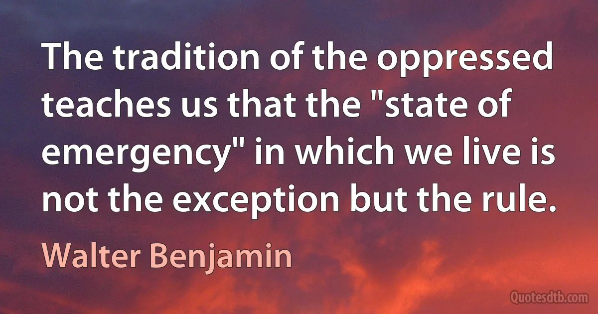 The tradition of the oppressed teaches us that the "state of emergency" in which we live is not the exception but the rule. (Walter Benjamin)