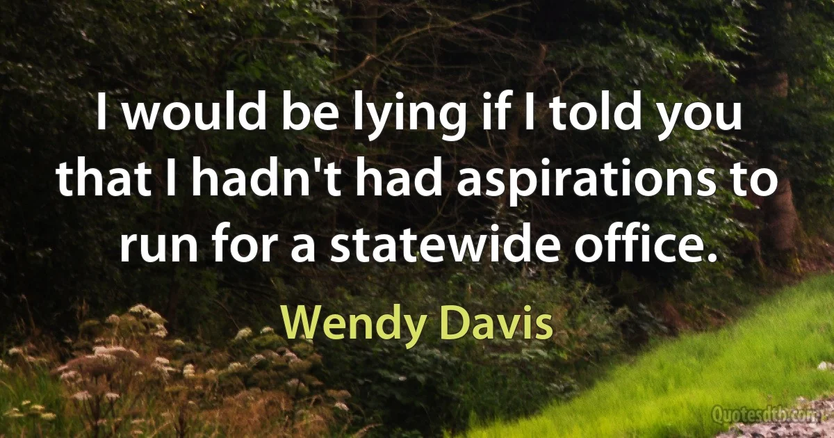 I would be lying if I told you that I hadn't had aspirations to run for a statewide office. (Wendy Davis)