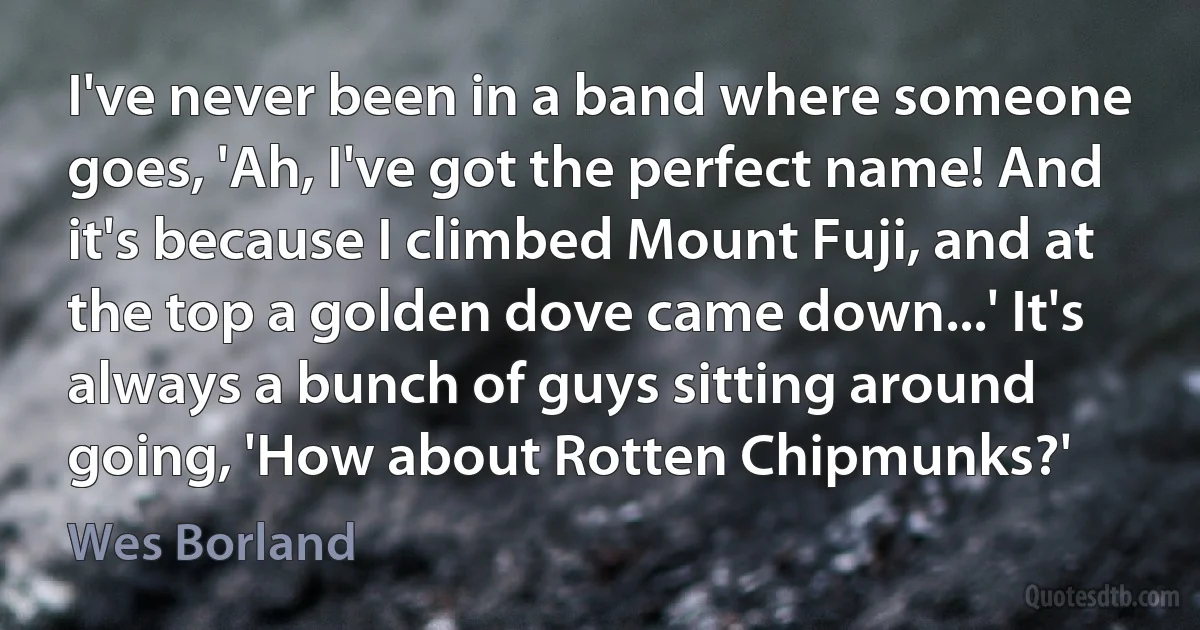 I've never been in a band where someone goes, 'Ah, I've got the perfect name! And it's because I climbed Mount Fuji, and at the top a golden dove came down...' It's always a bunch of guys sitting around going, 'How about Rotten Chipmunks?' (Wes Borland)