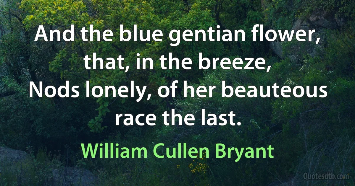 And the blue gentian flower, that, in the breeze,
Nods lonely, of her beauteous race the last. (William Cullen Bryant)