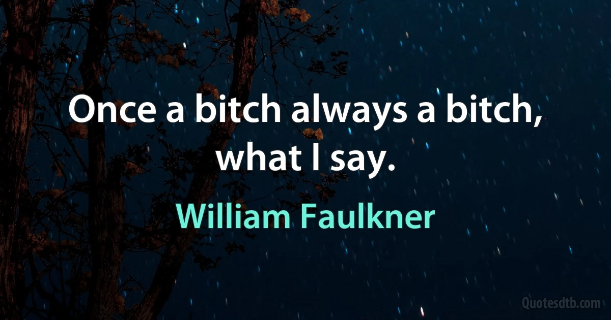 Once a bitch always a bitch, what I say. (William Faulkner)