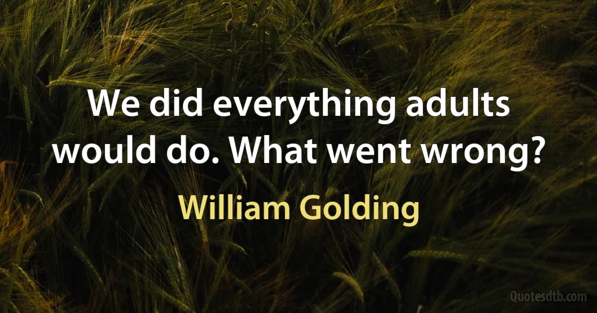 We did everything adults would do. What went wrong? (William Golding)