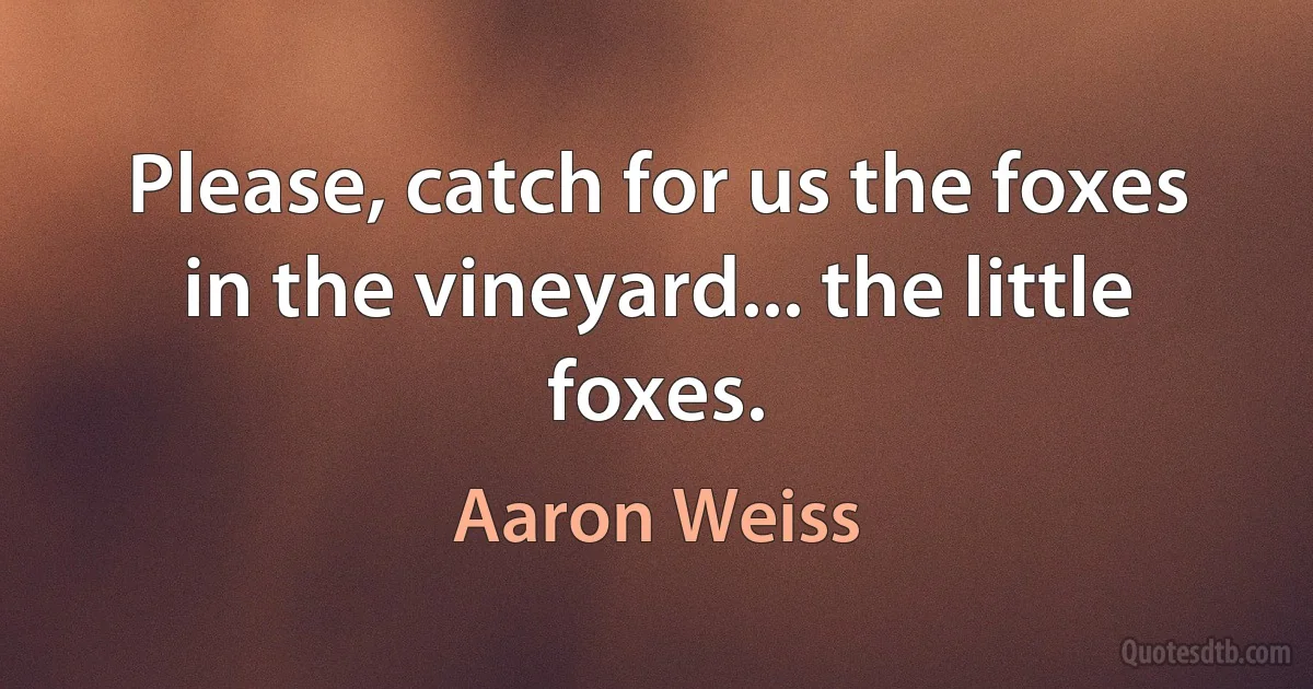 Please, catch for us the foxes in the vineyard... the little foxes. (Aaron Weiss)