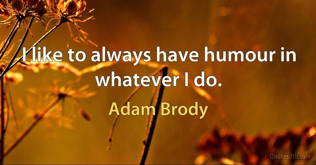 I like to always have humour in whatever I do. (Adam Brody)