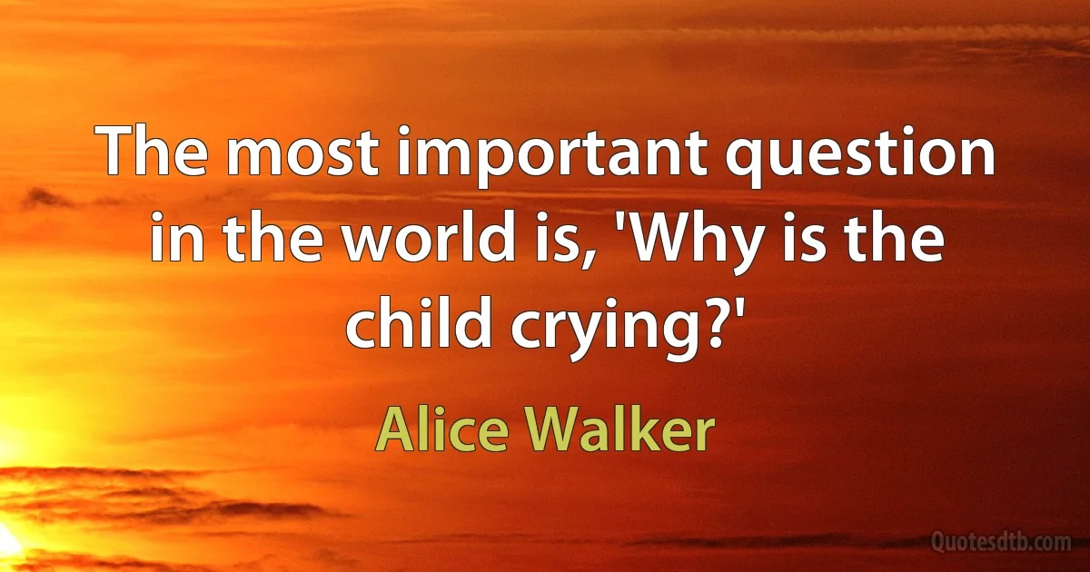 The most important question in the world is, 'Why is the child crying?' (Alice Walker)