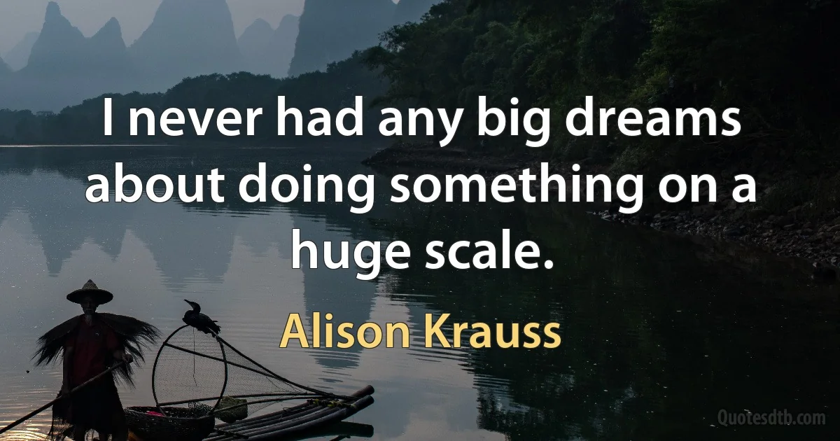 I never had any big dreams about doing something on a huge scale. (Alison Krauss)