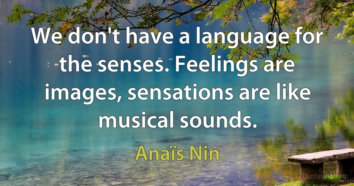 We don't have a language for the senses. Feelings are images, sensations are like musical sounds. (Anaïs Nin)