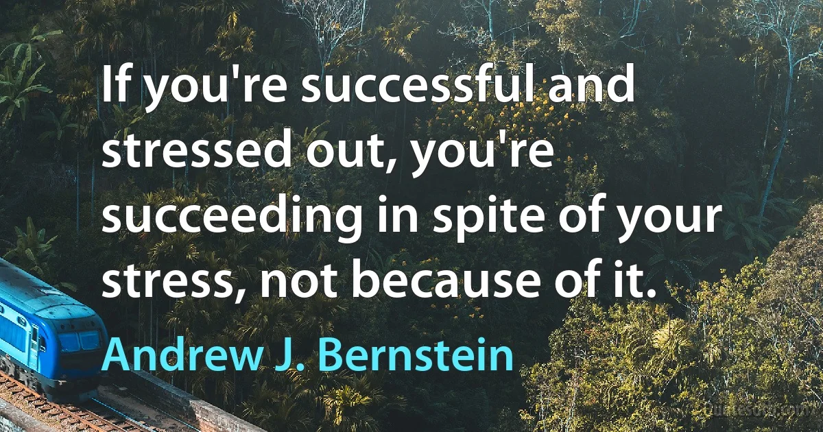 If you're successful and stressed out, you're succeeding in spite of your stress, not because of it. (Andrew J. Bernstein)