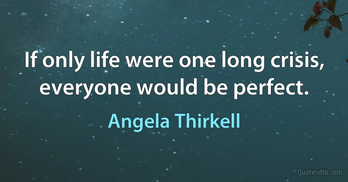 If only life were one long crisis, everyone would be perfect. (Angela Thirkell)