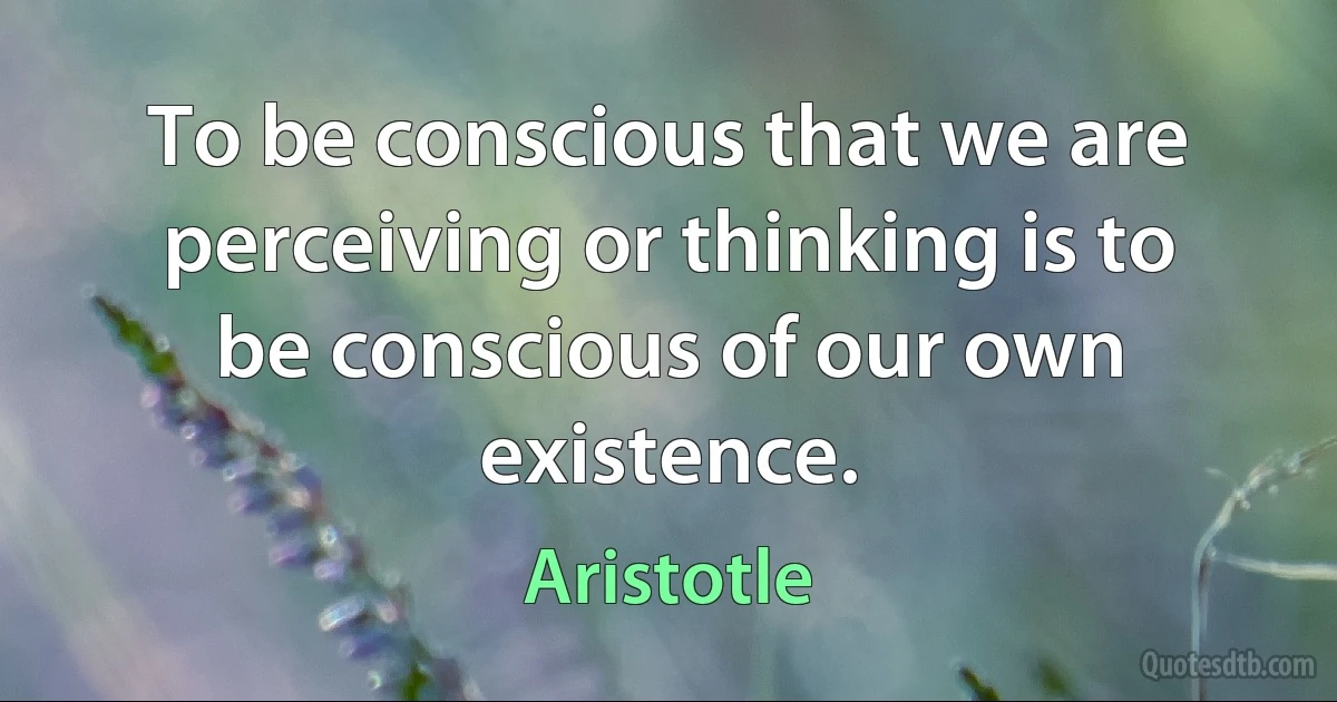 To be conscious that we are perceiving or thinking is to be conscious of our own existence. (Aristotle)