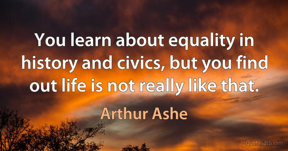 You learn about equality in history and civics, but you find out life is not really like that. (Arthur Ashe)