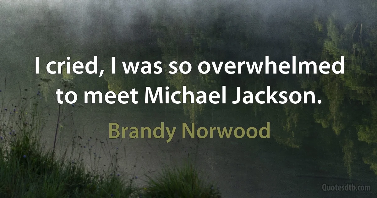 I cried, I was so overwhelmed to meet Michael Jackson. (Brandy Norwood)