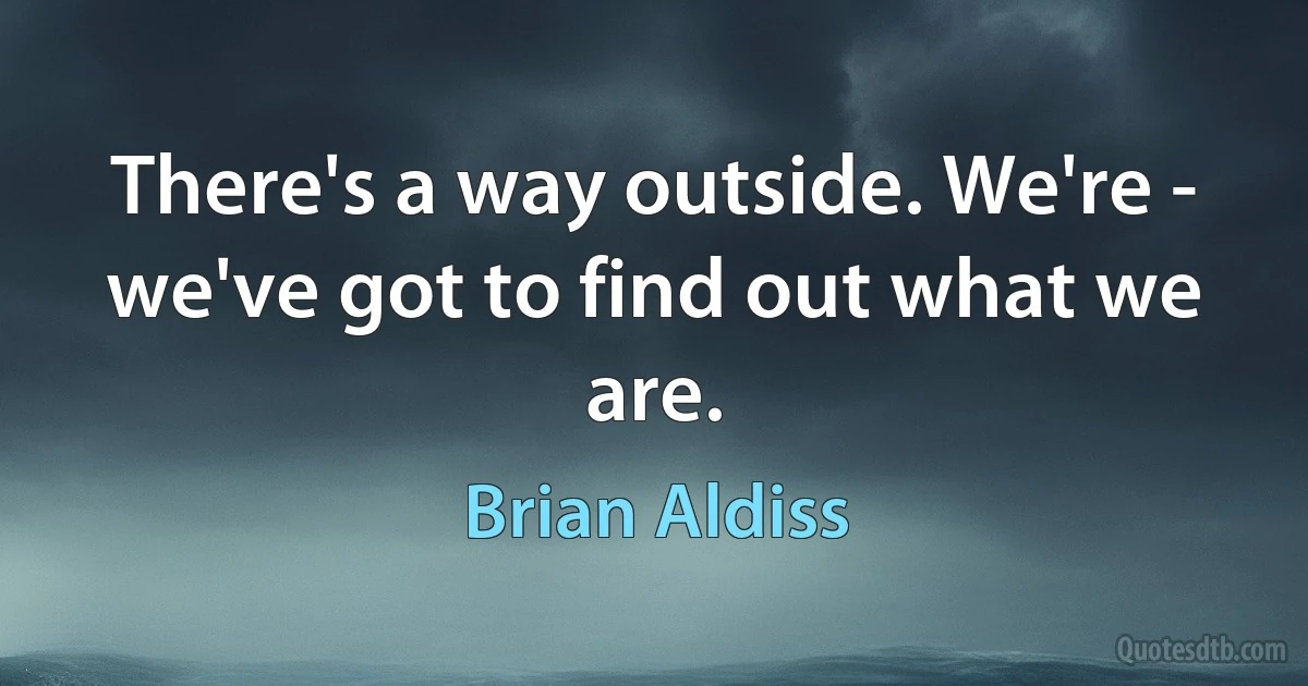 There's a way outside. We're - we've got to find out what we are. (Brian Aldiss)