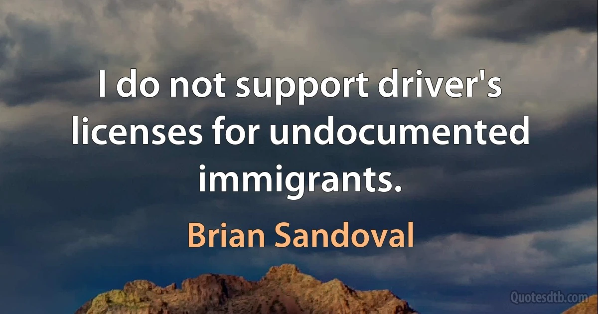 I do not support driver's licenses for undocumented immigrants. (Brian Sandoval)