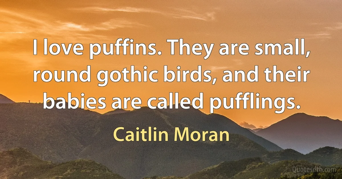 I love puffins. They are small, round gothic birds, and their babies are called pufflings. (Caitlin Moran)