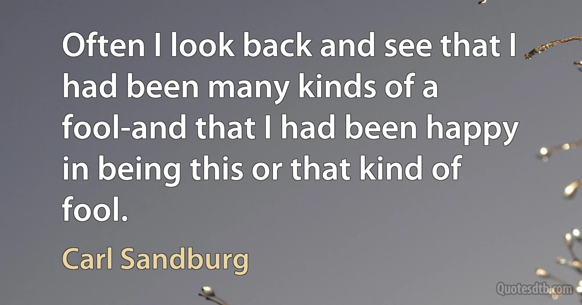 Often I look back and see that I had been many kinds of a fool-and that I had been happy in being this or that kind of fool. (Carl Sandburg)