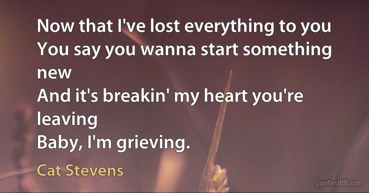 Now that I've lost everything to you
You say you wanna start something new
And it's breakin' my heart you're leaving
Baby, I'm grieving. (Cat Stevens)