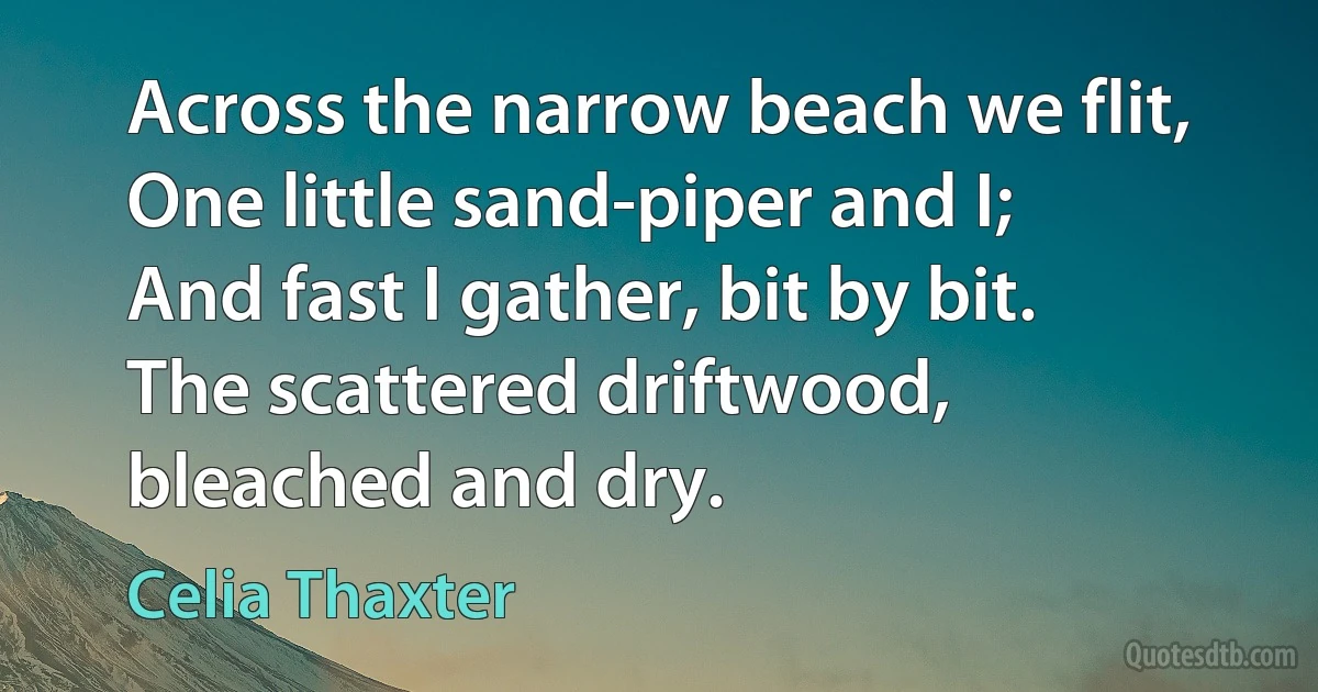 Across the narrow beach we flit,
One little sand-piper and I;
And fast I gather, bit by bit.
The scattered driftwood, bleached and dry. (Celia Thaxter)