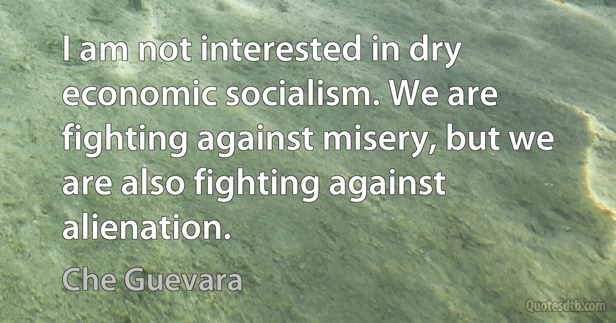 I am not interested in dry economic socialism. We are fighting against misery, but we are also fighting against alienation. (Che Guevara)