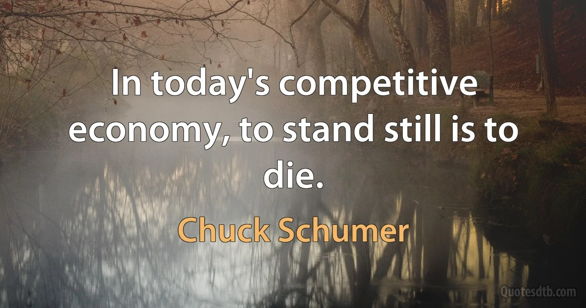 In today's competitive economy, to stand still is to die. (Chuck Schumer)