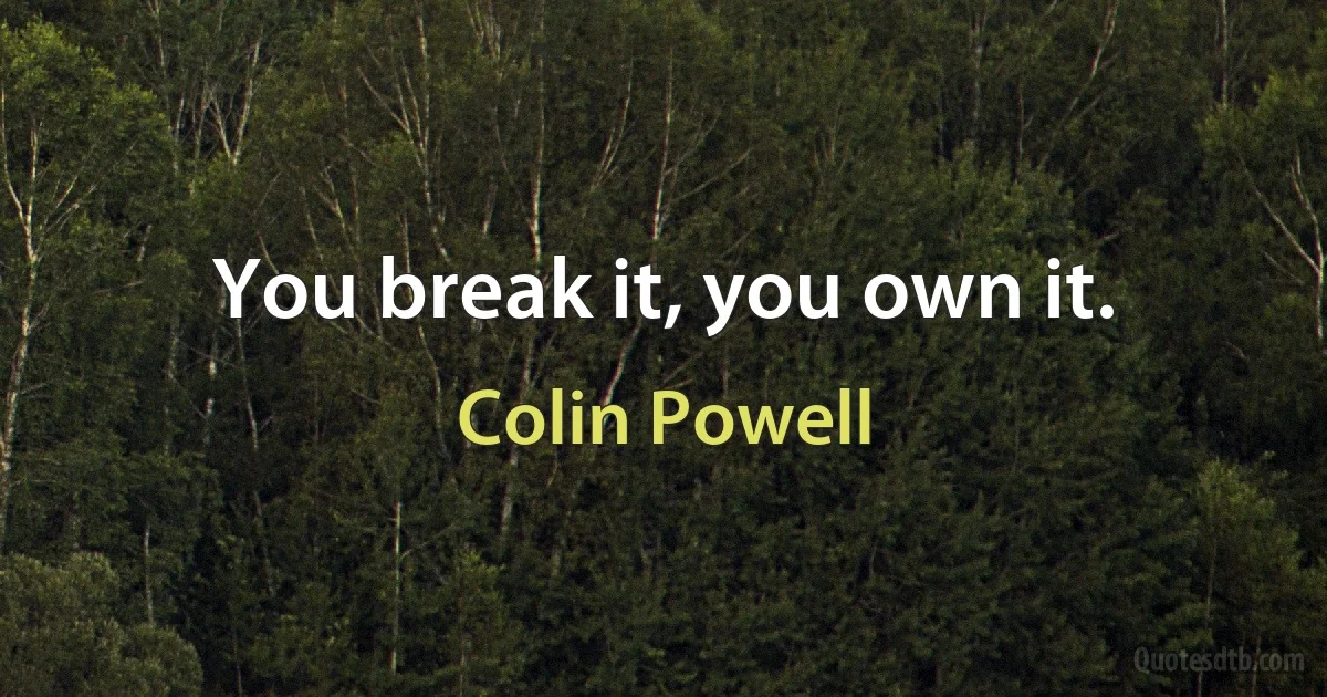 You break it, you own it. (Colin Powell)