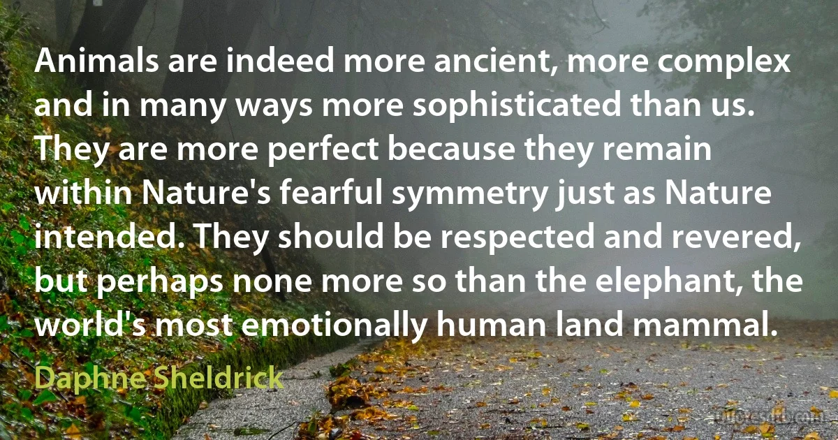 Animals are indeed more ancient, more complex and in many ways more sophisticated than us. They are more perfect because they remain within Nature's fearful symmetry just as Nature intended. They should be respected and revered, but perhaps none more so than the elephant, the world's most emotionally human land mammal. (Daphne Sheldrick)