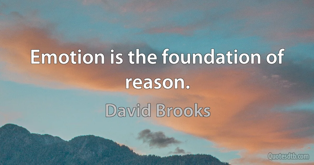 Emotion is the foundation of reason. (David Brooks)