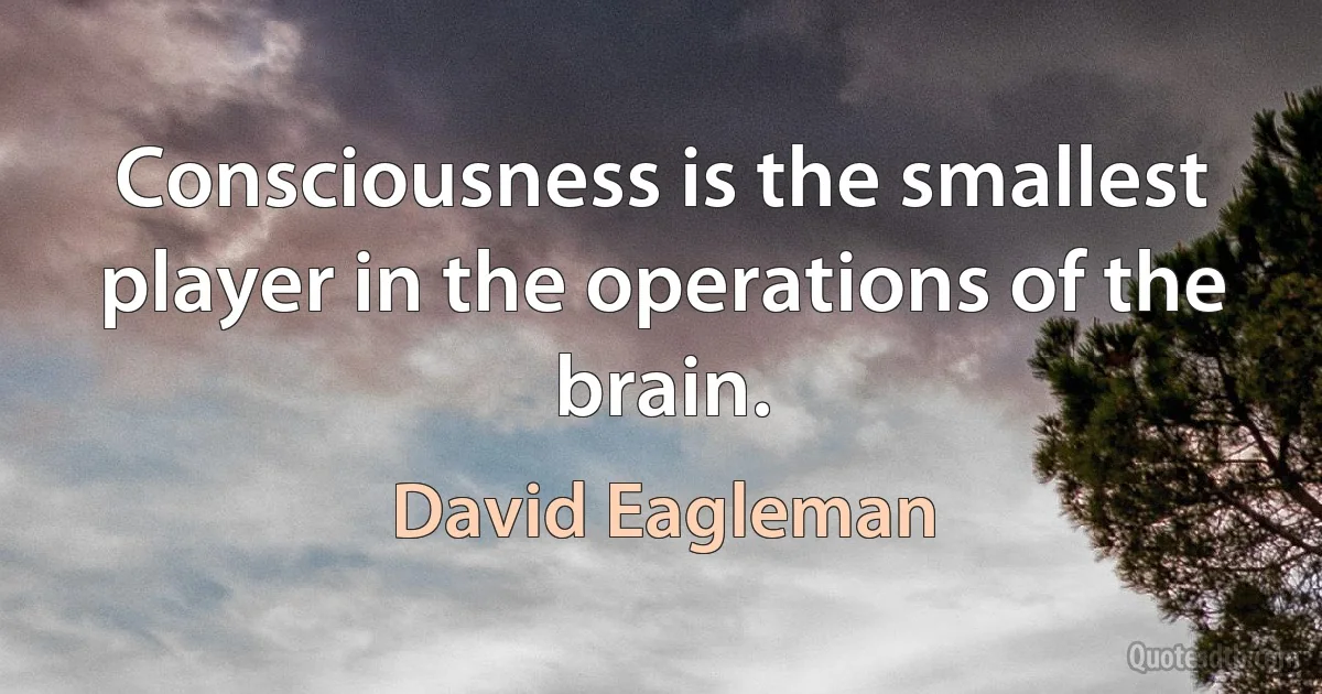 Consciousness is the smallest player in the operations of the brain. (David Eagleman)