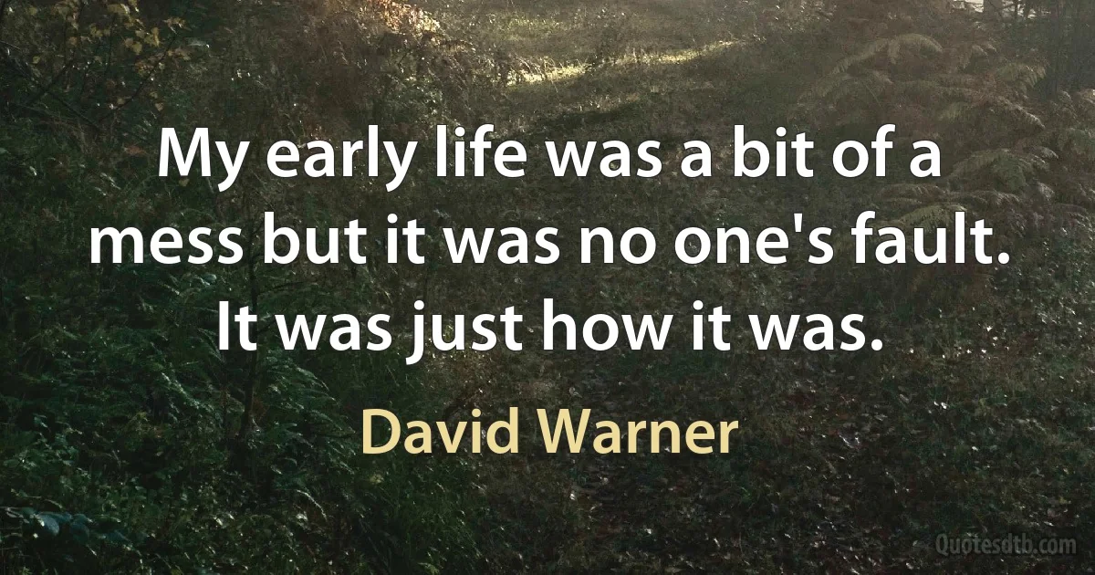 My early life was a bit of a mess but it was no one's fault. It was just how it was. (David Warner)