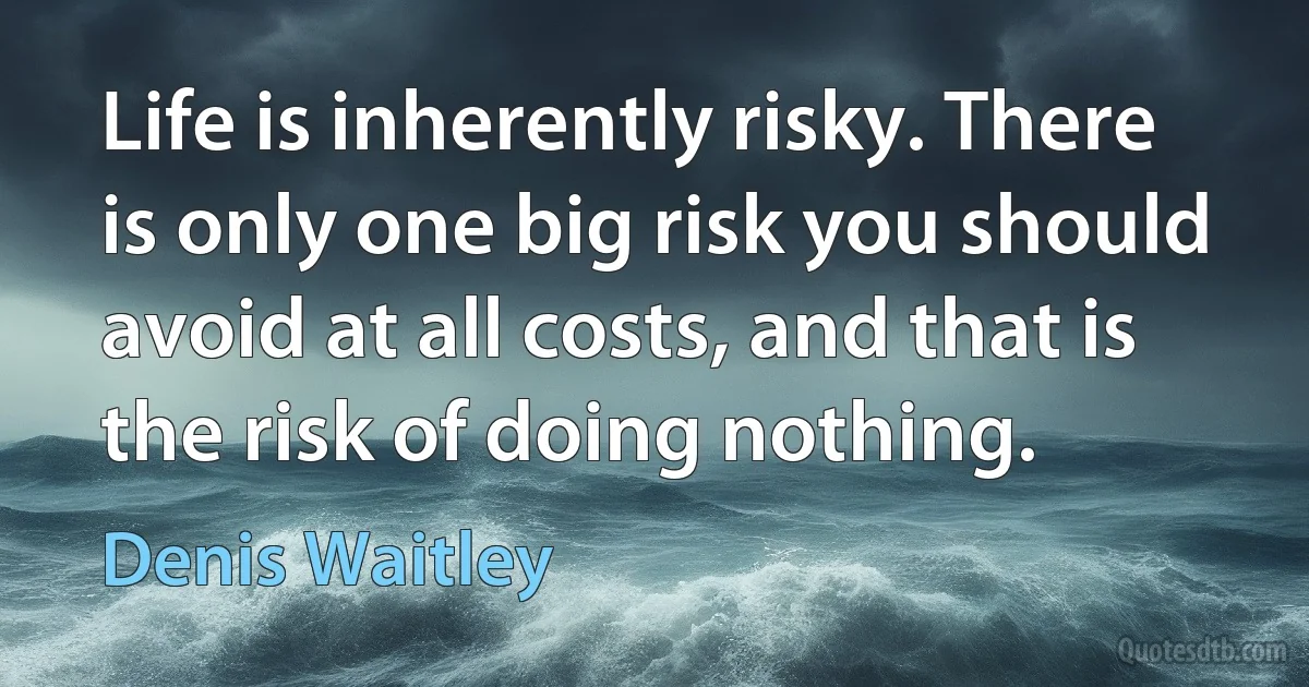 Life is inherently risky. There is only one big risk you should avoid at all costs, and that is the risk of doing nothing. (Denis Waitley)