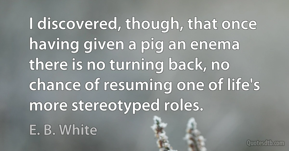 I discovered, though, that once having given a pig an enema there is no turning back, no chance of resuming one of life's more stereotyped roles. (E. B. White)