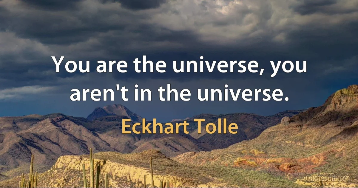 You are the universe, you aren't in the universe. (Eckhart Tolle)