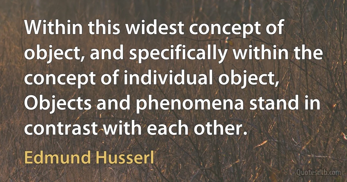 Within this widest concept of object, and specifically within the concept of individual object, Objects and phenomena stand in contrast with each other. (Edmund Husserl)