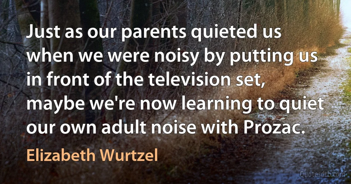 Just as our parents quieted us when we were noisy by putting us in front of the television set, maybe we're now learning to quiet our own adult noise with Prozac. (Elizabeth Wurtzel)