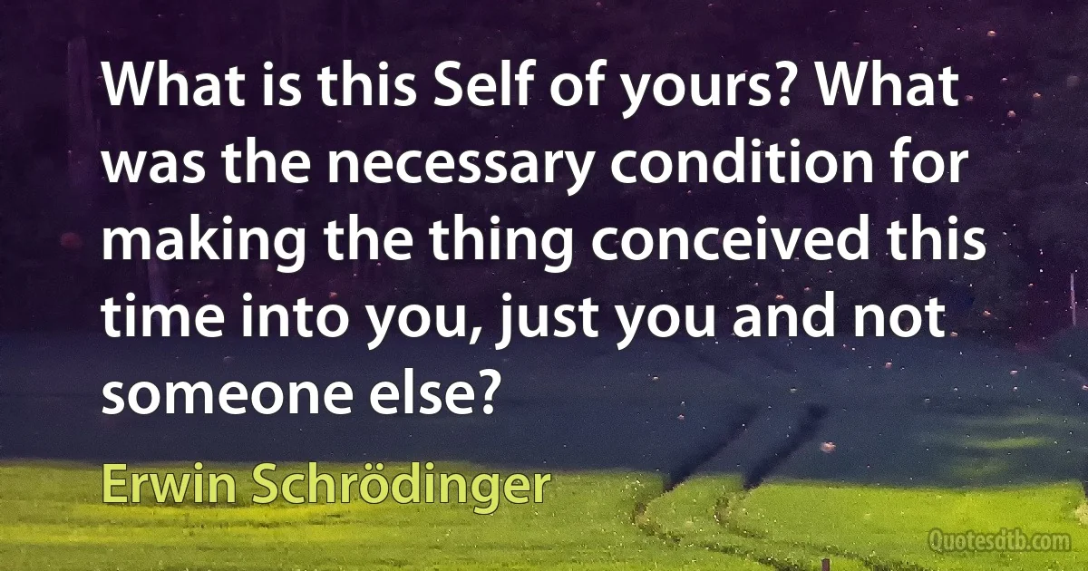 What is this Self of yours? What was the necessary condition for making the thing conceived this time into you, just you and not someone else? (Erwin Schrödinger)