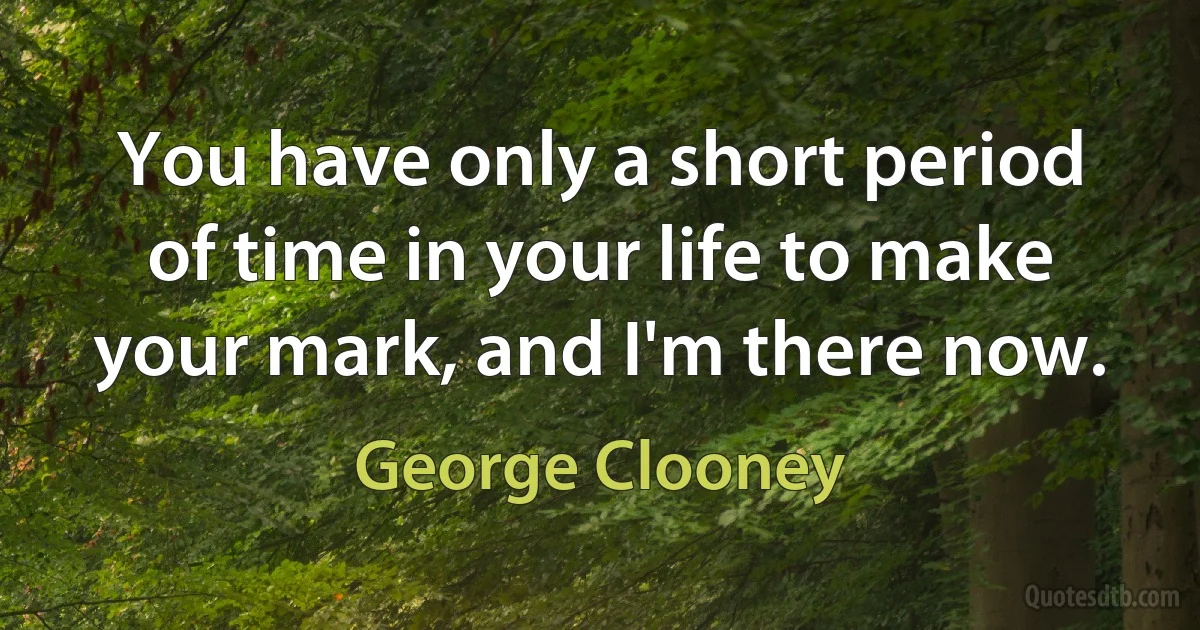 You have only a short period of time in your life to make your mark, and I'm there now. (George Clooney)