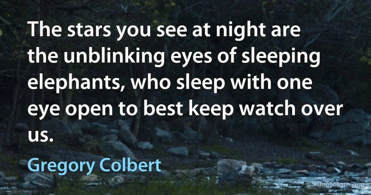 The stars you see at night are the unblinking eyes of sleeping elephants, who sleep with one eye open to best keep watch over us. (Gregory Colbert)