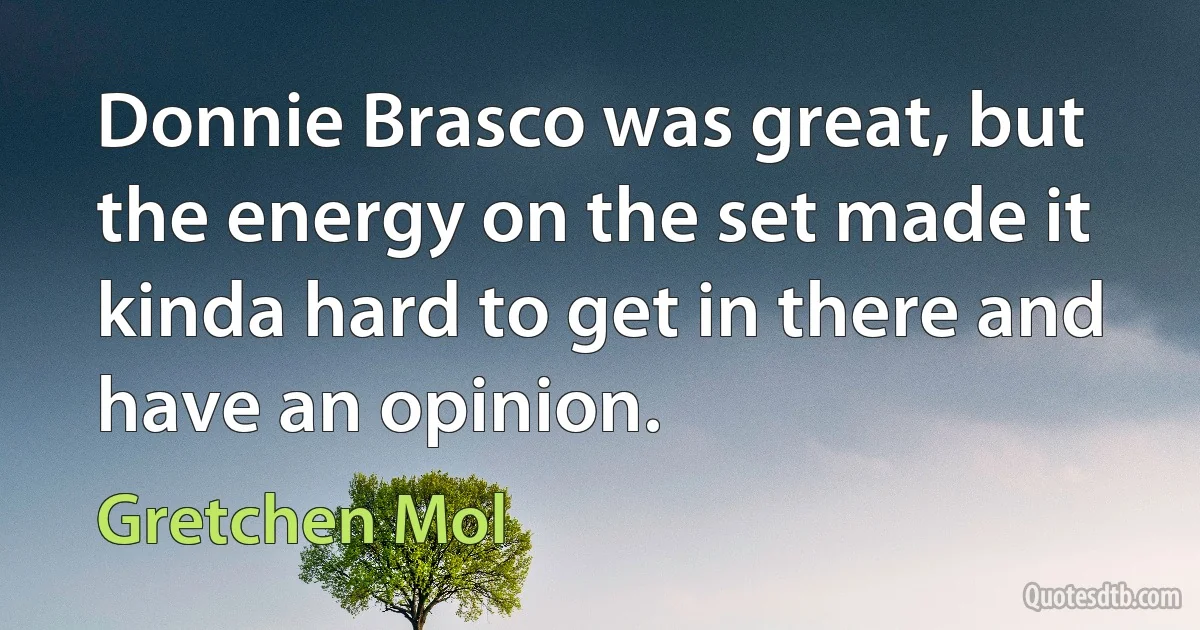 Donnie Brasco was great, but the energy on the set made it kinda hard to get in there and have an opinion. (Gretchen Mol)