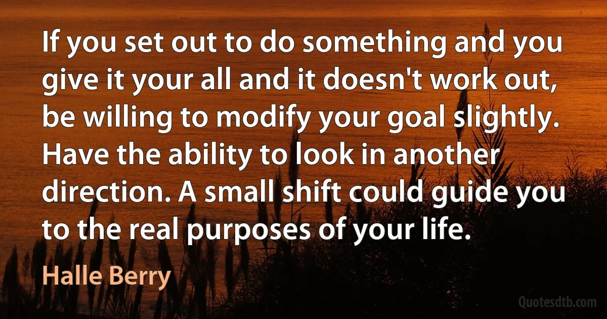 If you set out to do something and you give it your all and it doesn't work out, be willing to modify your goal slightly. Have the ability to look in another direction. A small shift could guide you to the real purposes of your life. (Halle Berry)