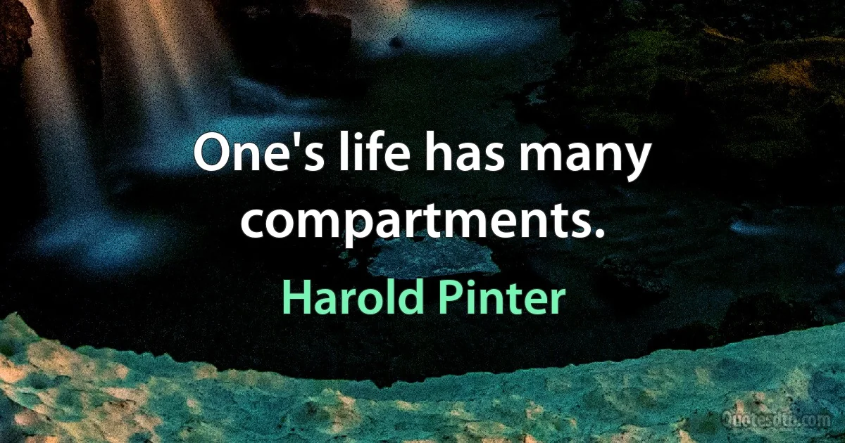 One's life has many compartments. (Harold Pinter)