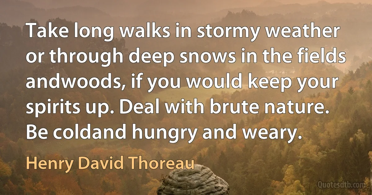 Take long walks in stormy weather or through deep snows in the fields andwoods, if you would keep your spirits up. Deal with brute nature. Be coldand hungry and weary. (Henry David Thoreau)