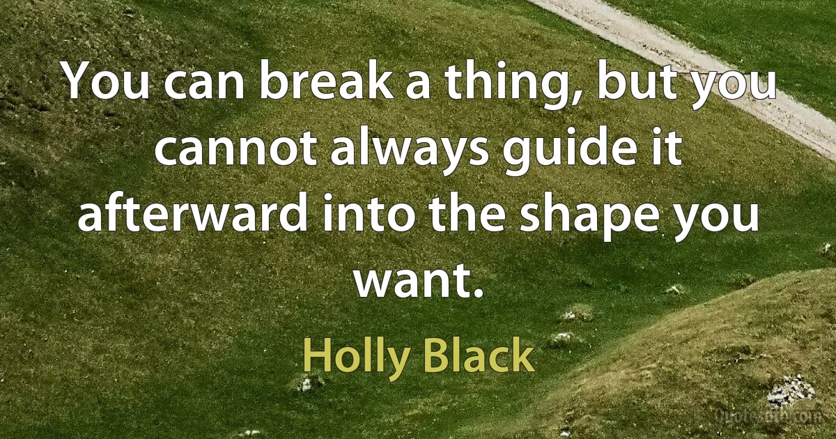 You can break a thing, but you cannot always guide it afterward into the shape you want. (Holly Black)