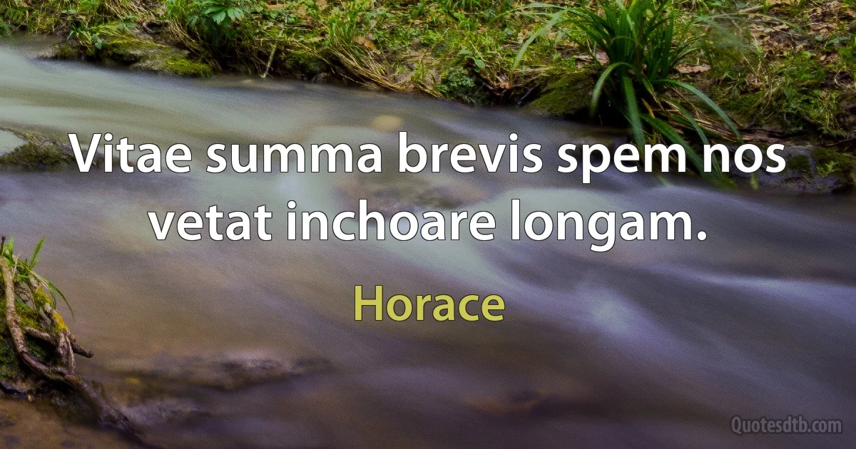 Vitae summa brevis spem nos vetat inchoare longam. (Horace)