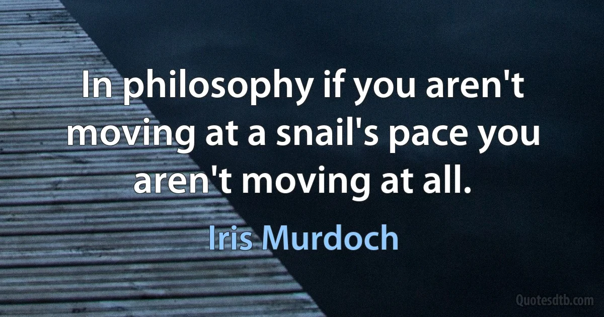 In philosophy if you aren't moving at a snail's pace you aren't moving at all. (Iris Murdoch)