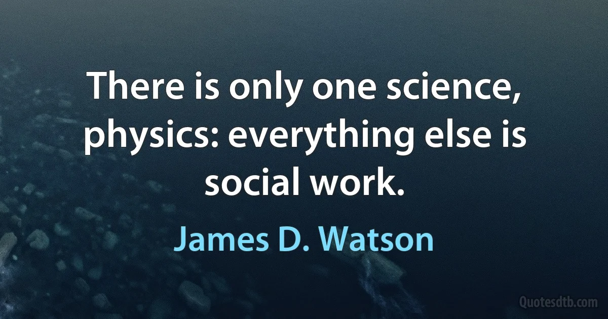 There is only one science, physics: everything else is social work. (James D. Watson)