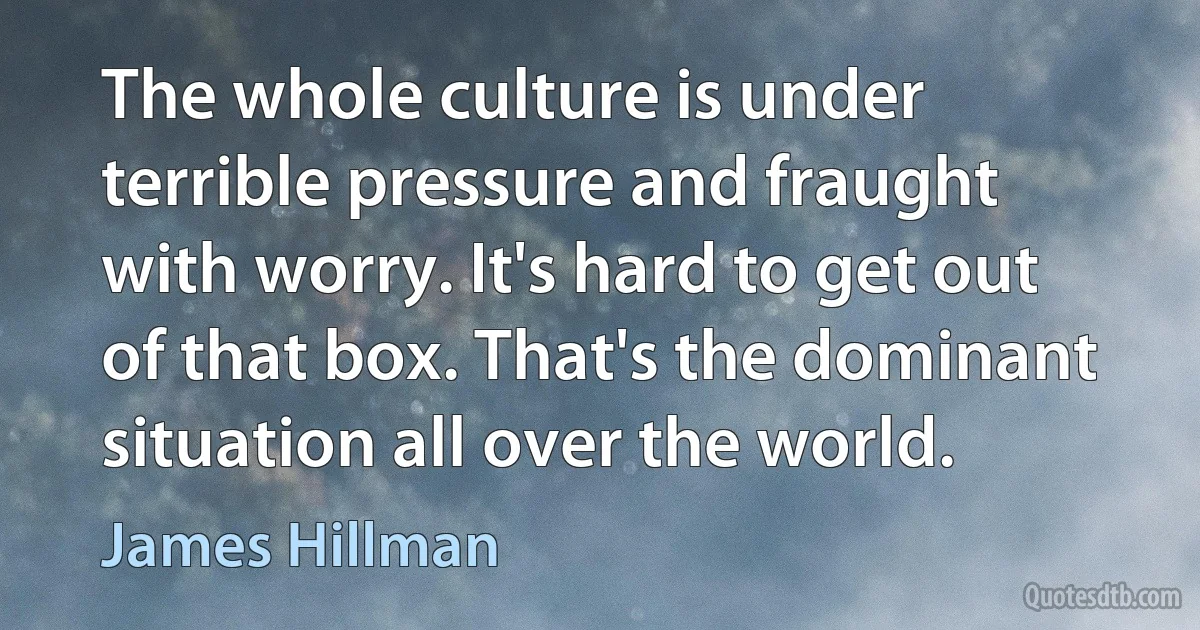 The whole culture is under terrible pressure and fraught with worry. It's hard to get out of that box. That's the dominant situation all over the world. (James Hillman)